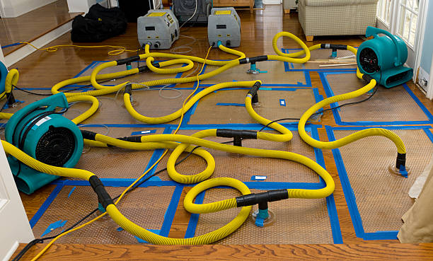 Professional Crawl Space Water Removal technician working in Girard, IL